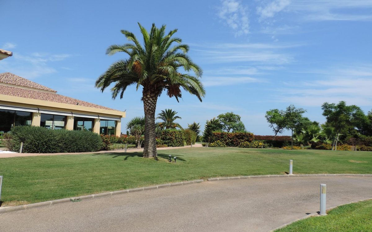 Традиции Испании: Свадьба в Валенсии. Часть 1